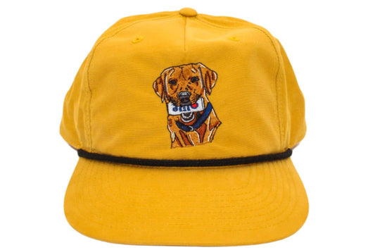 A red lab with a beer in its mouth on a yellow rope hat 