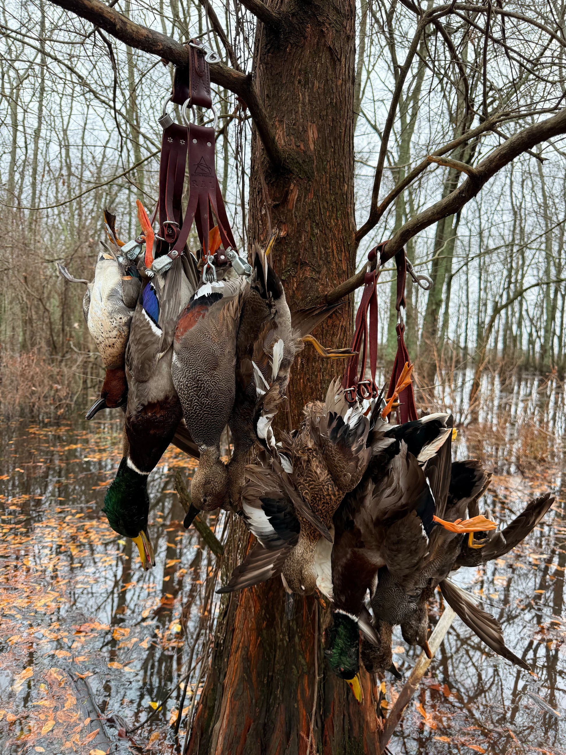 Delta Feather Leg Lok handmade leather duck strap for waterfowl hunters — close-up
